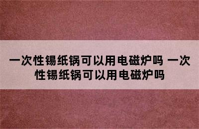 一次性锡纸锅可以用电磁炉吗 一次性锡纸锅可以用电磁炉吗